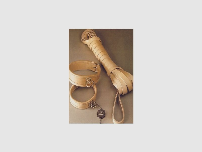 Collier pour chien de recherche au sang 40–45 cm