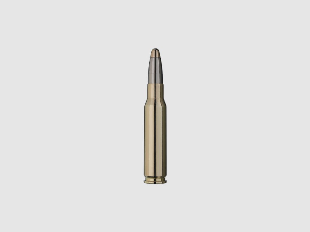 MUNITION PATRONEN RWS 308 WINCHESTER EVOLUTION 2315434, Bild 2 von 2