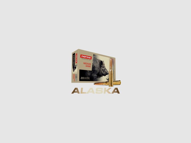 Norma Alaska .30-06 11.6g, Bild 1 von 2