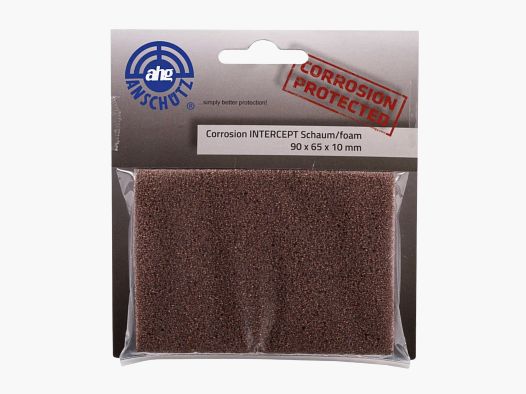Intercept corrosion protection sponge for cases and bags