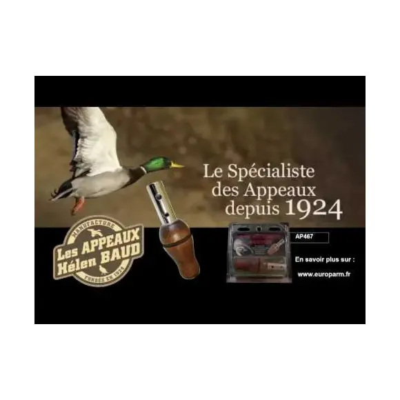 Llamador de Avefría y Aguja Helen Baud, imagen 9 de 10