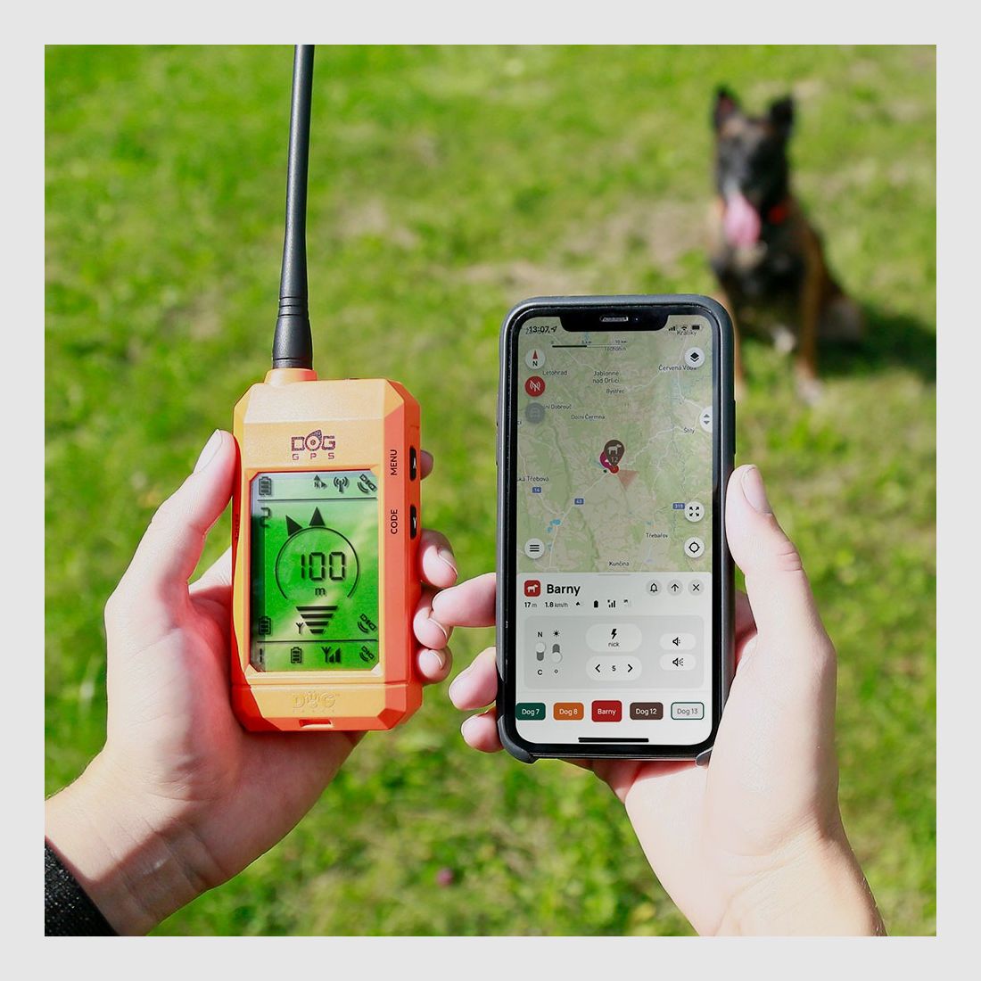 Dogtrace GPS X30-TB Ortungsgerät orange, Bild 13 von 15