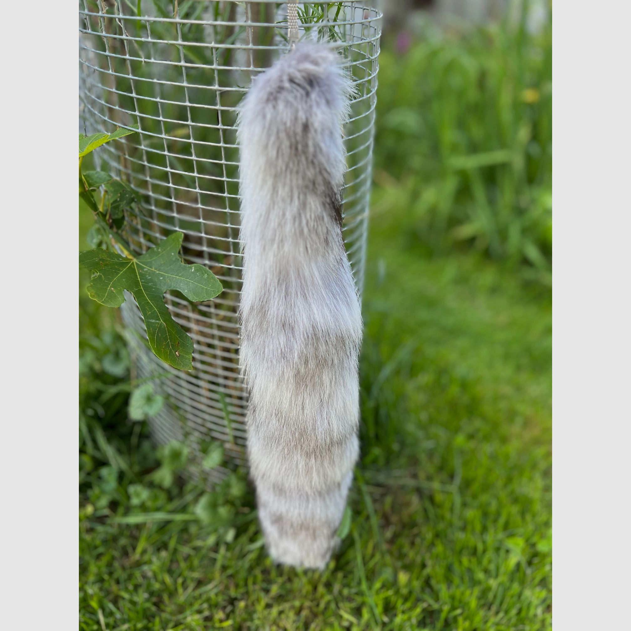 Real polar fox tail with keychain