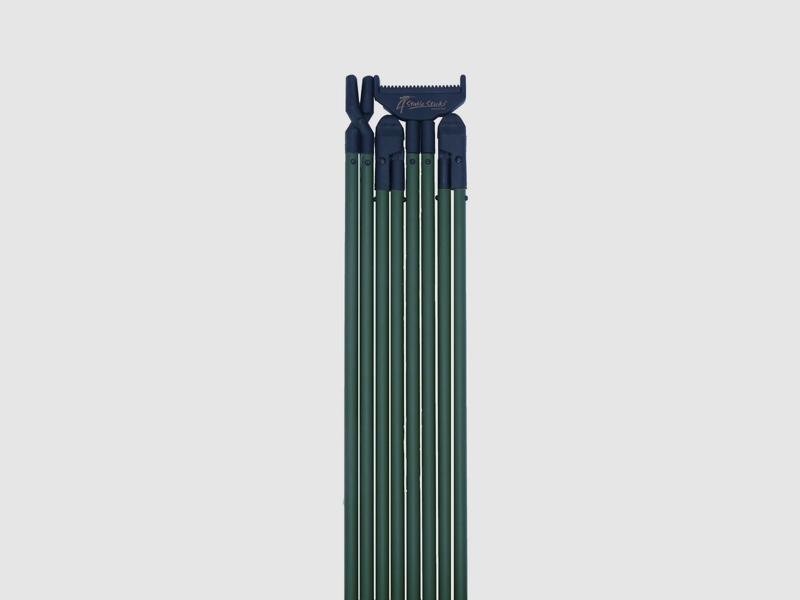 CANNE BUSH ESSENTIAL VERTE 4Stable Stick