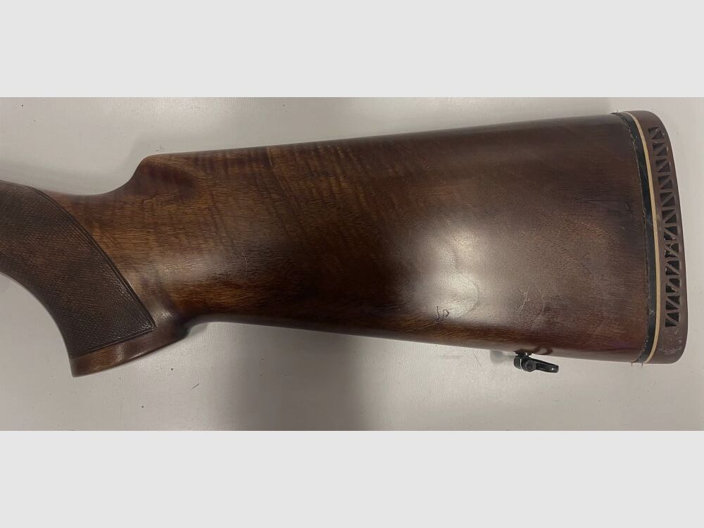 Zoli Ritmo G2