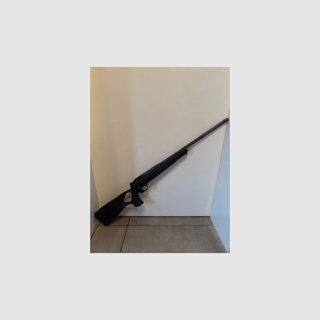 Blaser R8 Professional Success