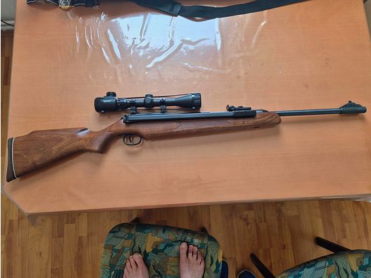 air rifle
