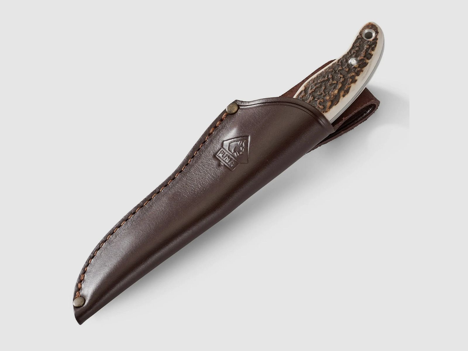 PUMA hunter's companion