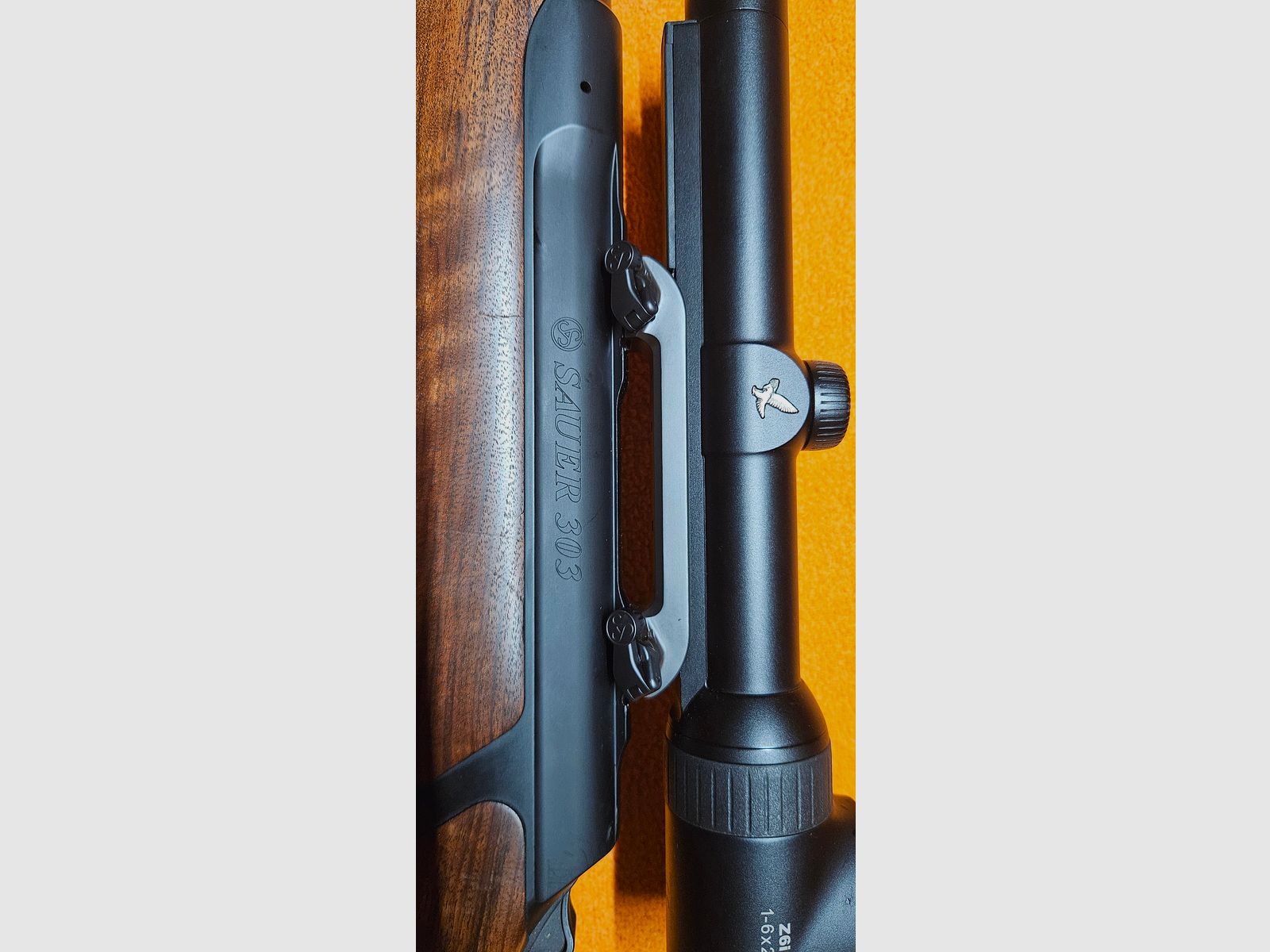 Sauer 303 Classic .30-06 mit Swarovski Z6i 1-6x24 SR & Sauer-Montage