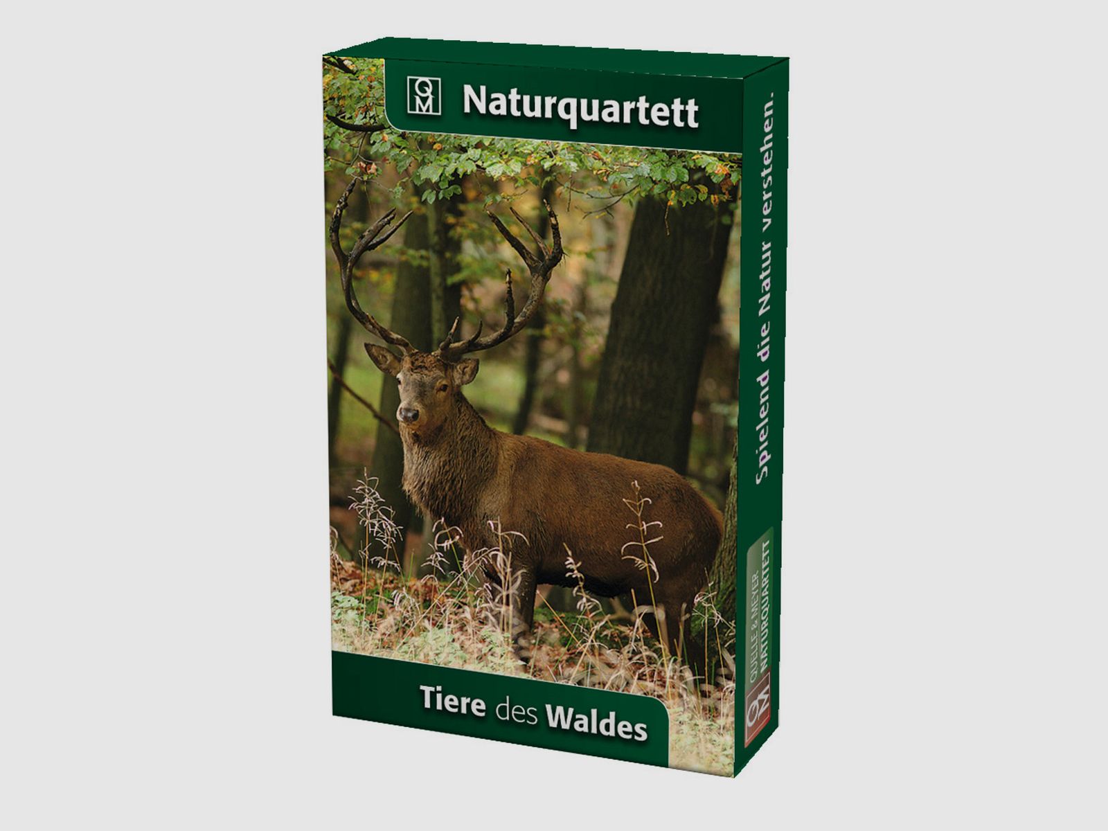 Naturquartett Tiere des Waldes