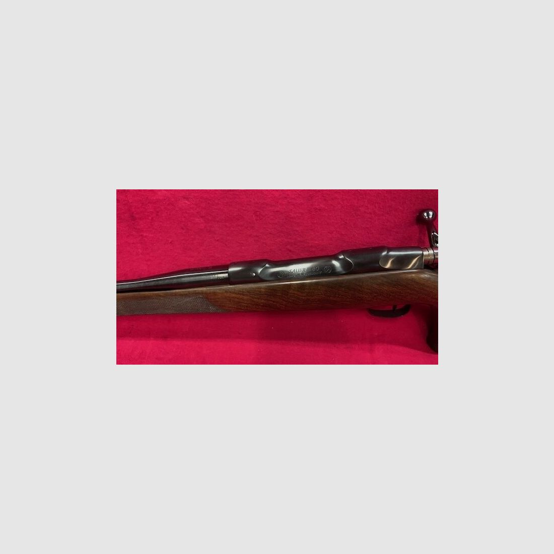 Waffen-Schmidt im System Sauer 80