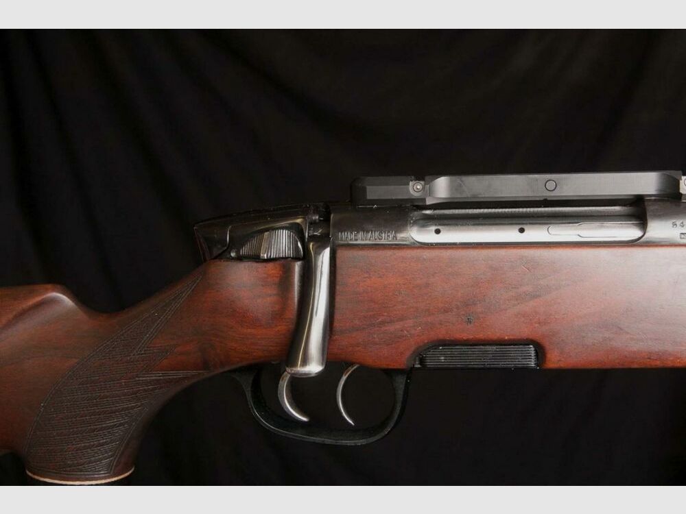 Steyr Mannlicher Stutzen M mit Dentler Montage