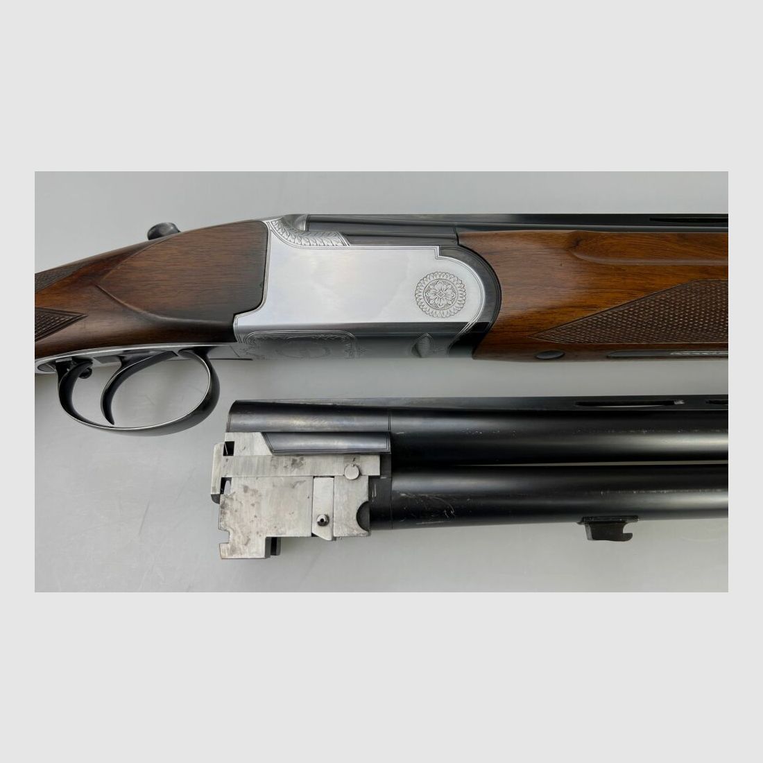 Rottweil Trap Montréal