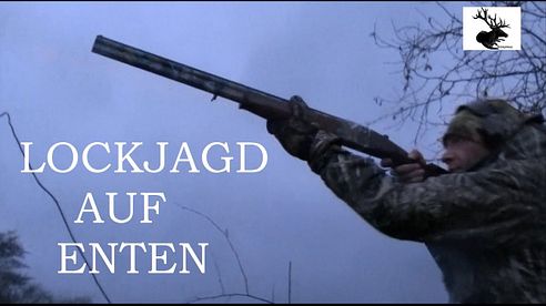 Lockjagd auf Enten ( German Waterfowl Hunting )