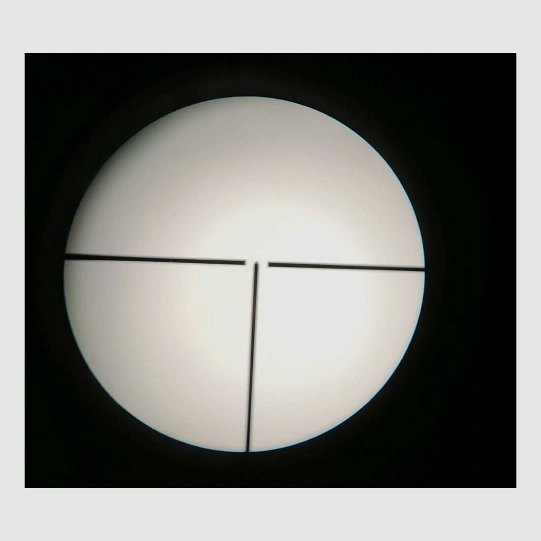 Consorzio Suhl Georg Schneider