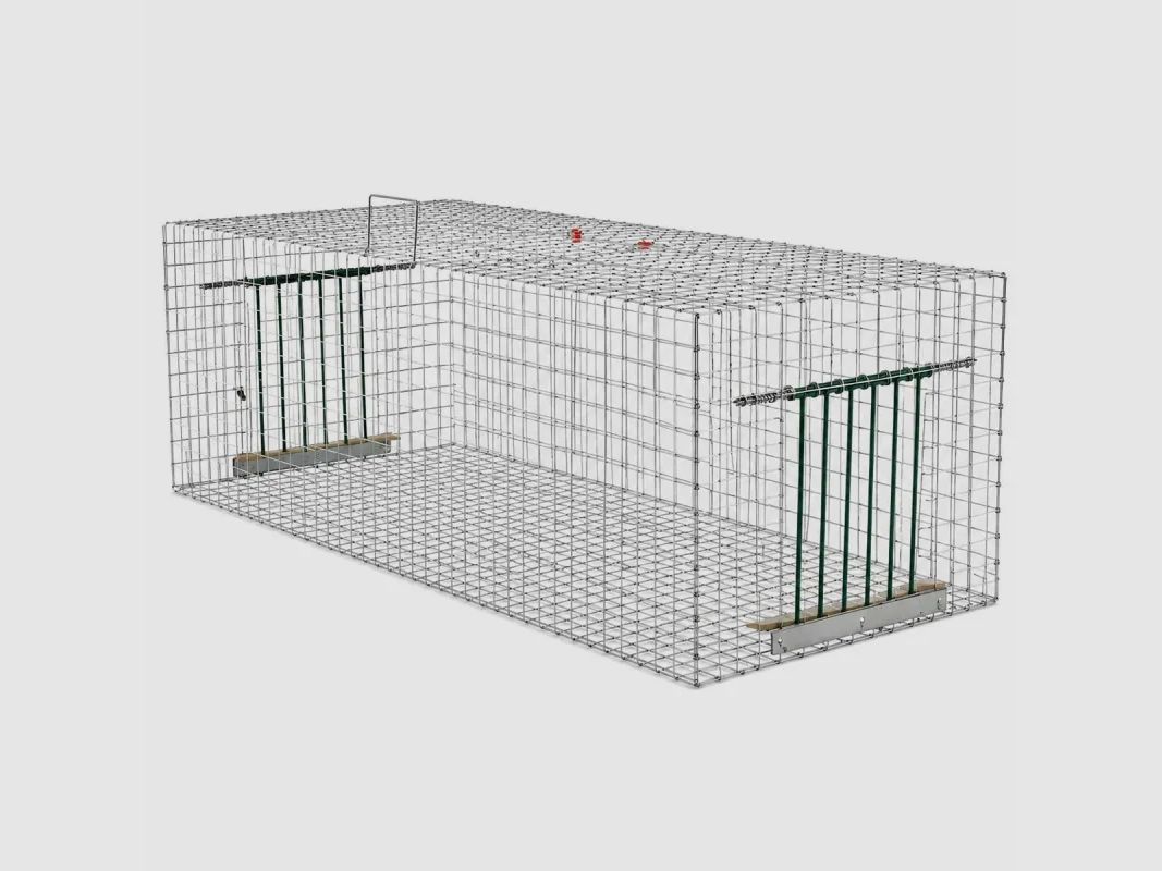 Cage piège à pigeon 100 x 40 x 30 cm, image 1 sur 6