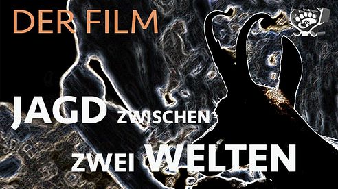 JAGD ZWISCHEN ZWEI WELTEN | GAMSJAGD | GÄMSJAGD | Bergjagd | Hunting movie