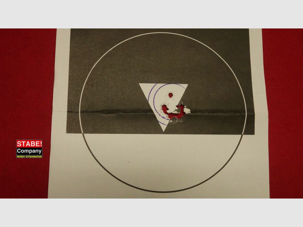 Sig Sauer P226 S X-Five