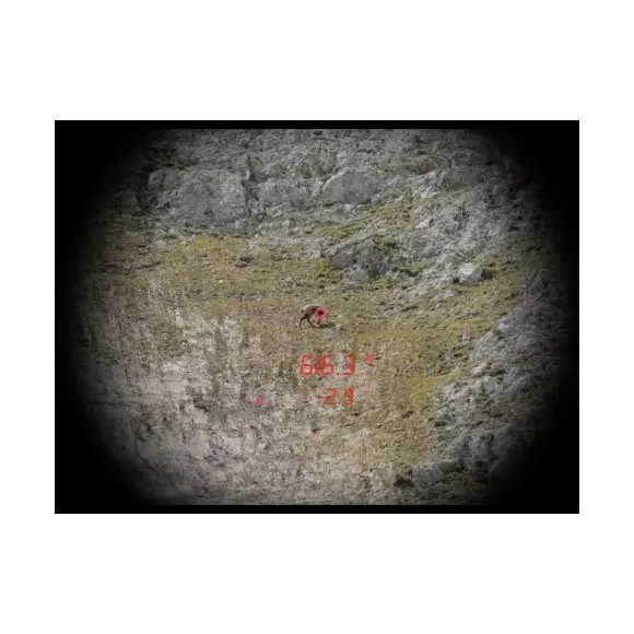 Lunette Ranger 8 / 1,6-12,8X42 Réticule 4A-i Steiner, image 7 sur 8