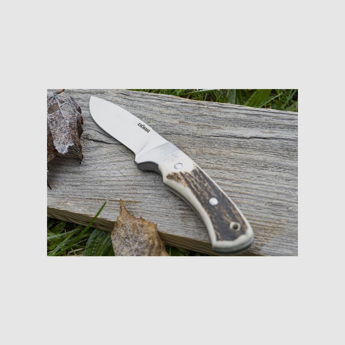 Dörr Jagd Messer Hirschhorn M-110