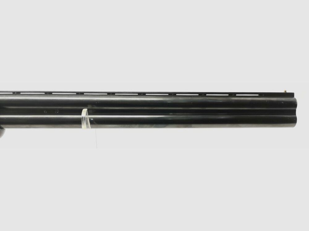 Kettner Campione