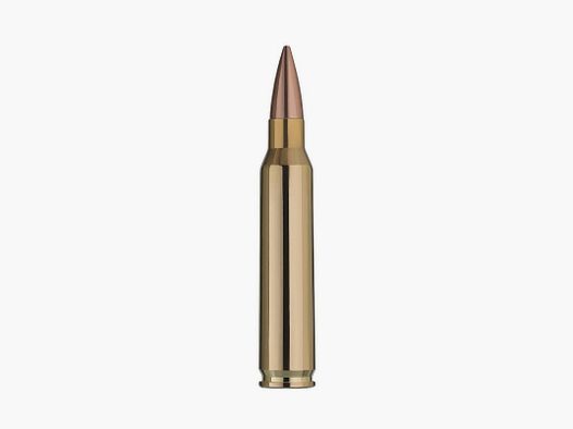 Amunicja RWS DM41A1 5,56x45 62gr