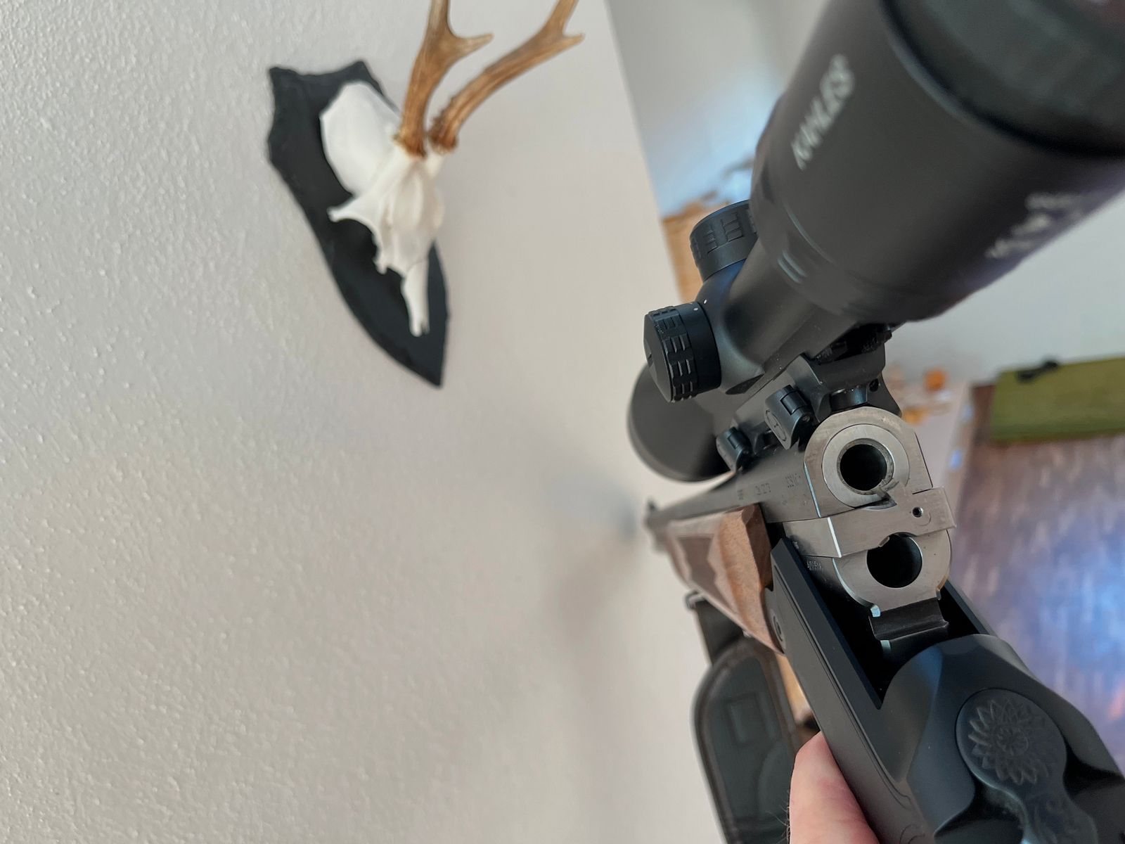 Blaser B95 with 5.6 ×52 insert barrel and Kahles - like new -