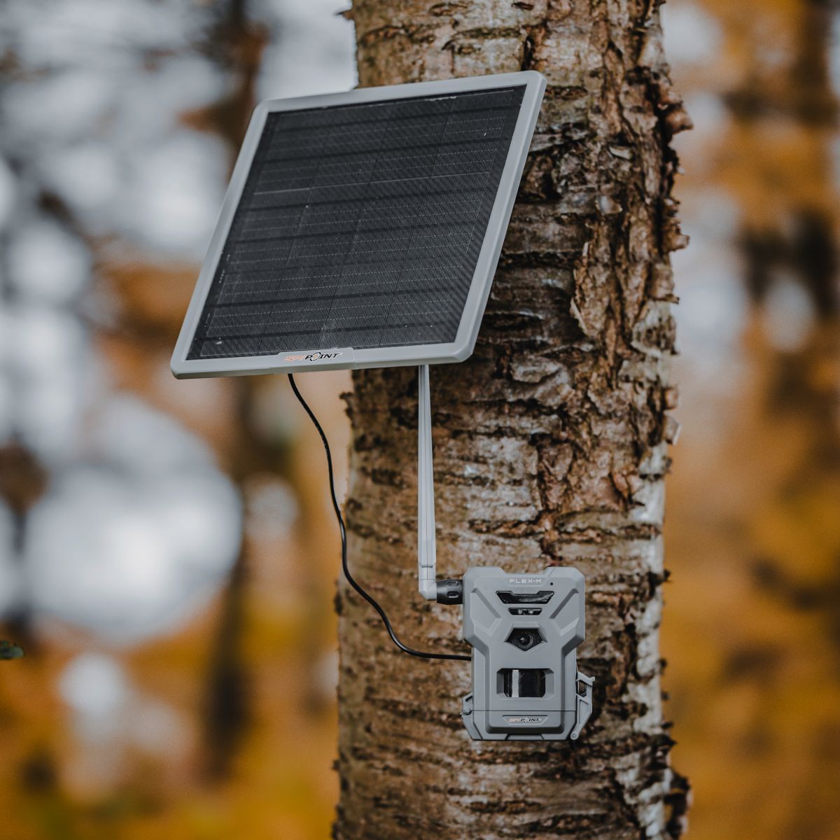 SPYPOINT FLEX-M & SOLAR-22 Bundle/ UN3481/188