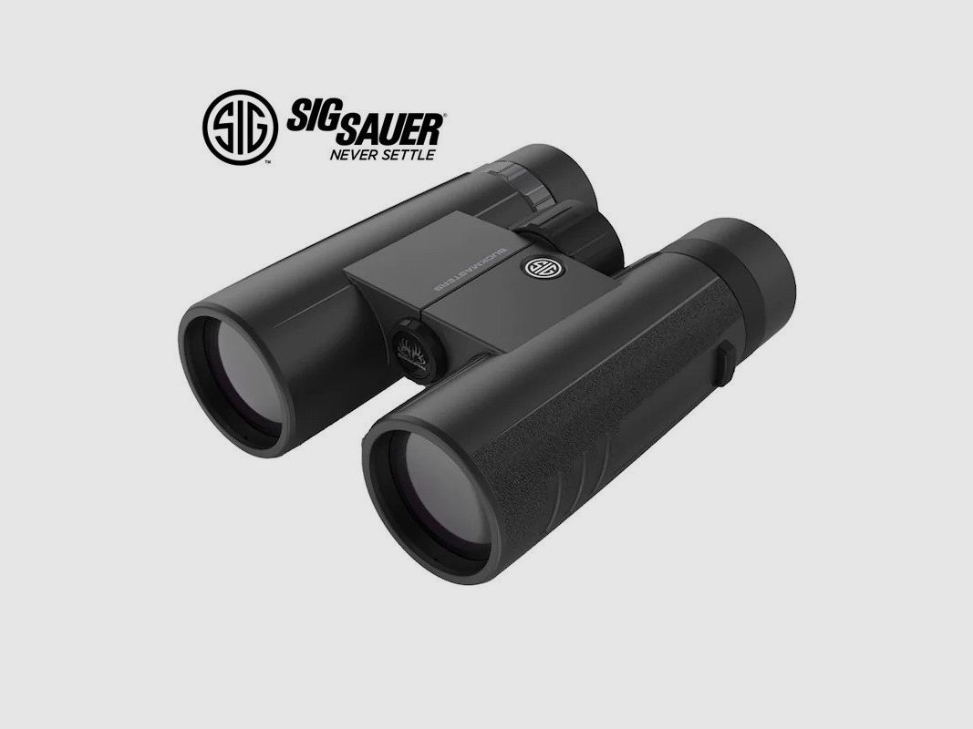 Binocolo Sig Sauer Buckmaster 10×42, immagine 1 di 3