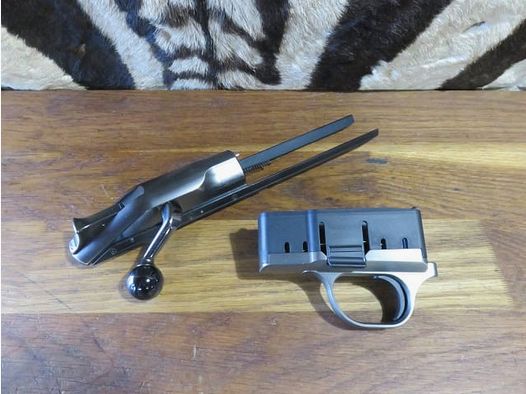 BLASER R8 Ruthenium Bolt with Pro Ruthenium Magazine Block