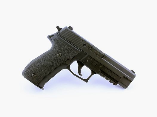 Sig Sauer MK25