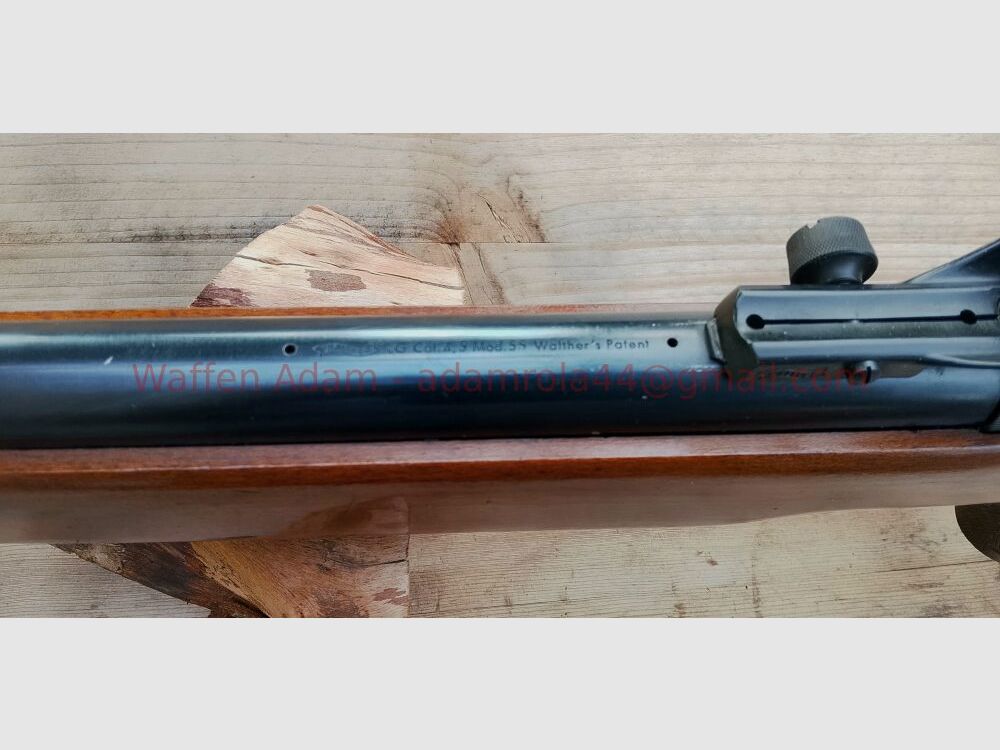 Walther LG 55