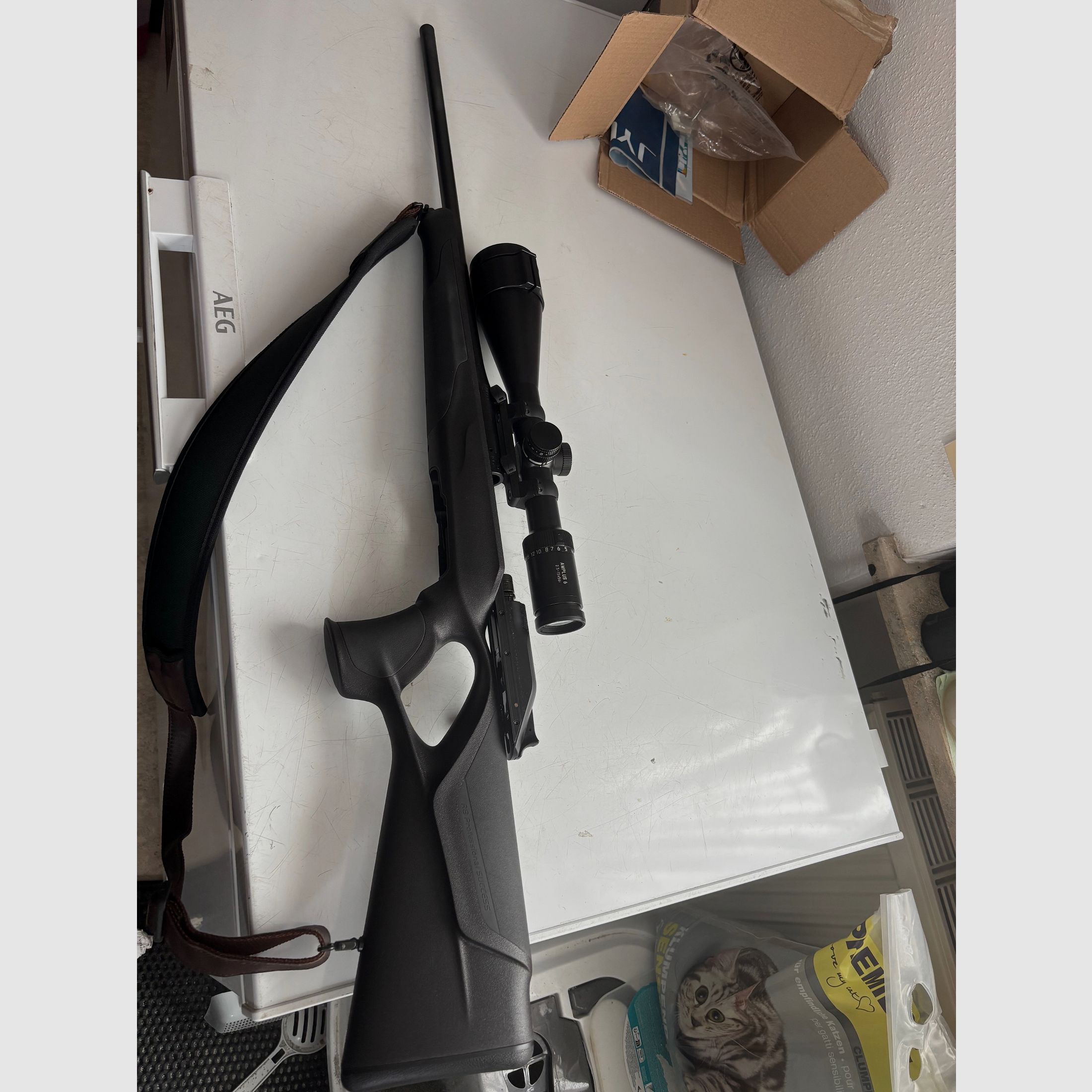 Blaser R8 Professionell Success