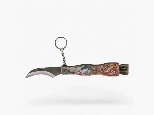 Albainox Coltello da Fungo Print – Coltello da Fungo con Spazzola e Pinzetta in Legno di Betulla