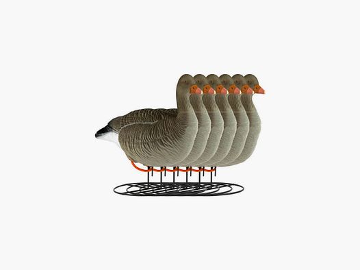 Forme d'oie cendrée sur pattes floquée active x6
