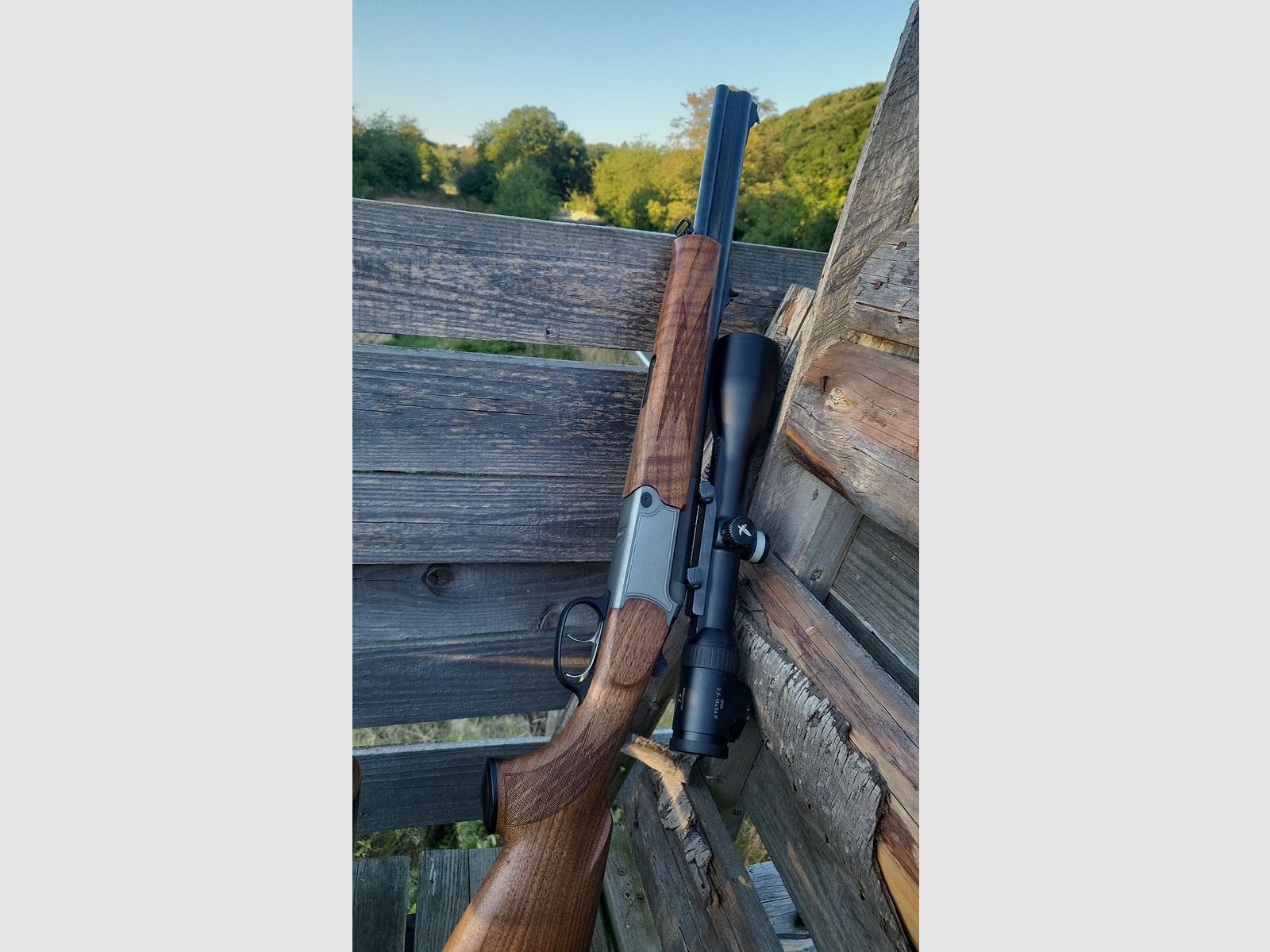 Blaser BBF 95