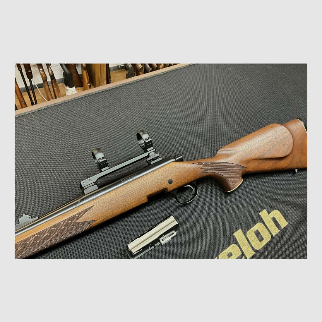 Remington 700 mit Montage .30-06Spring