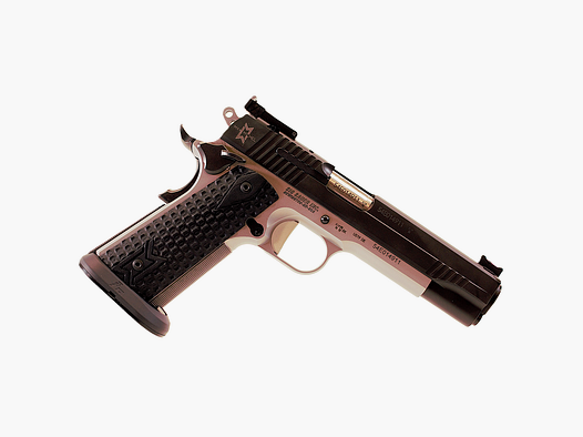 sig sauer 1911 max michel 9×19