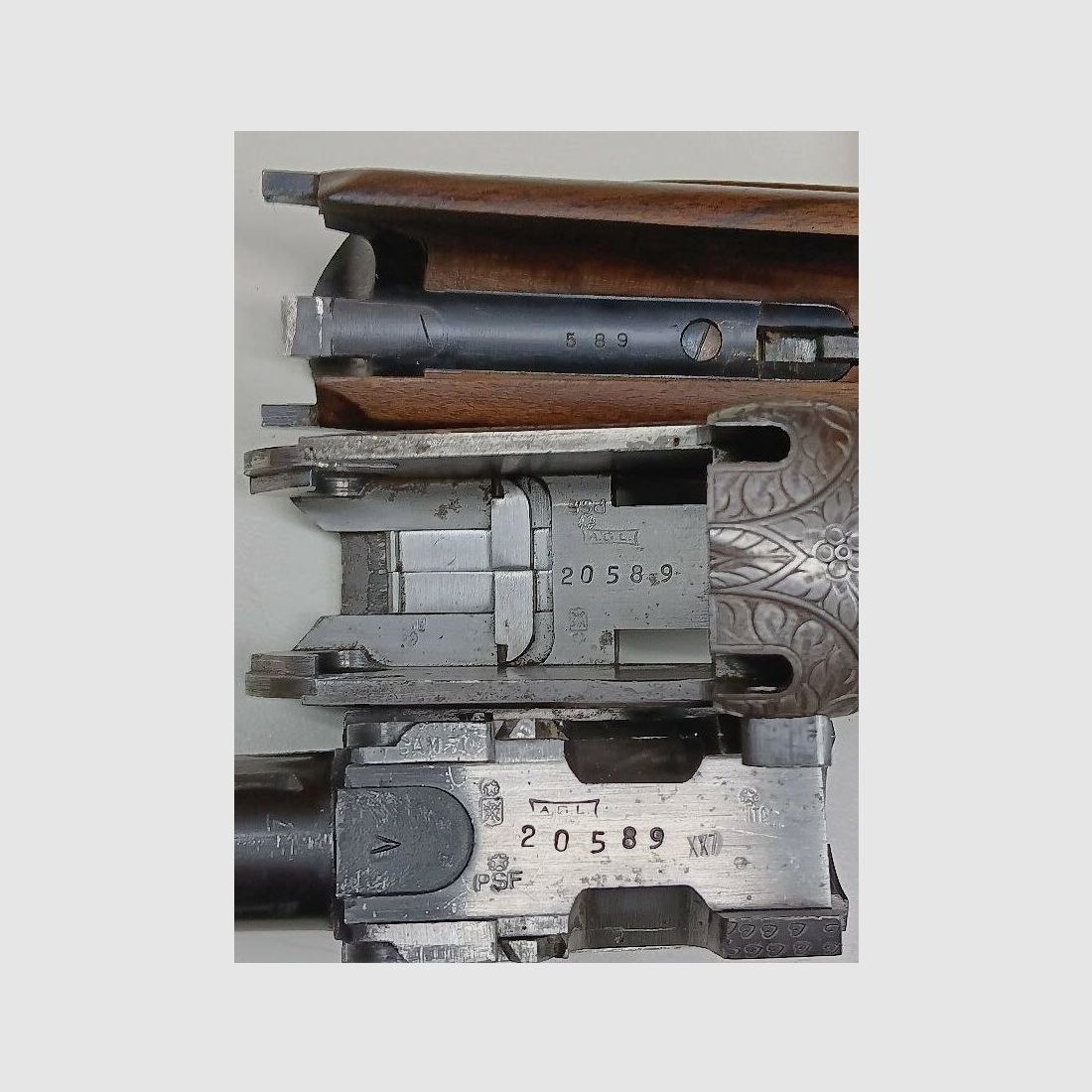 A.S.L. - Italy Turin