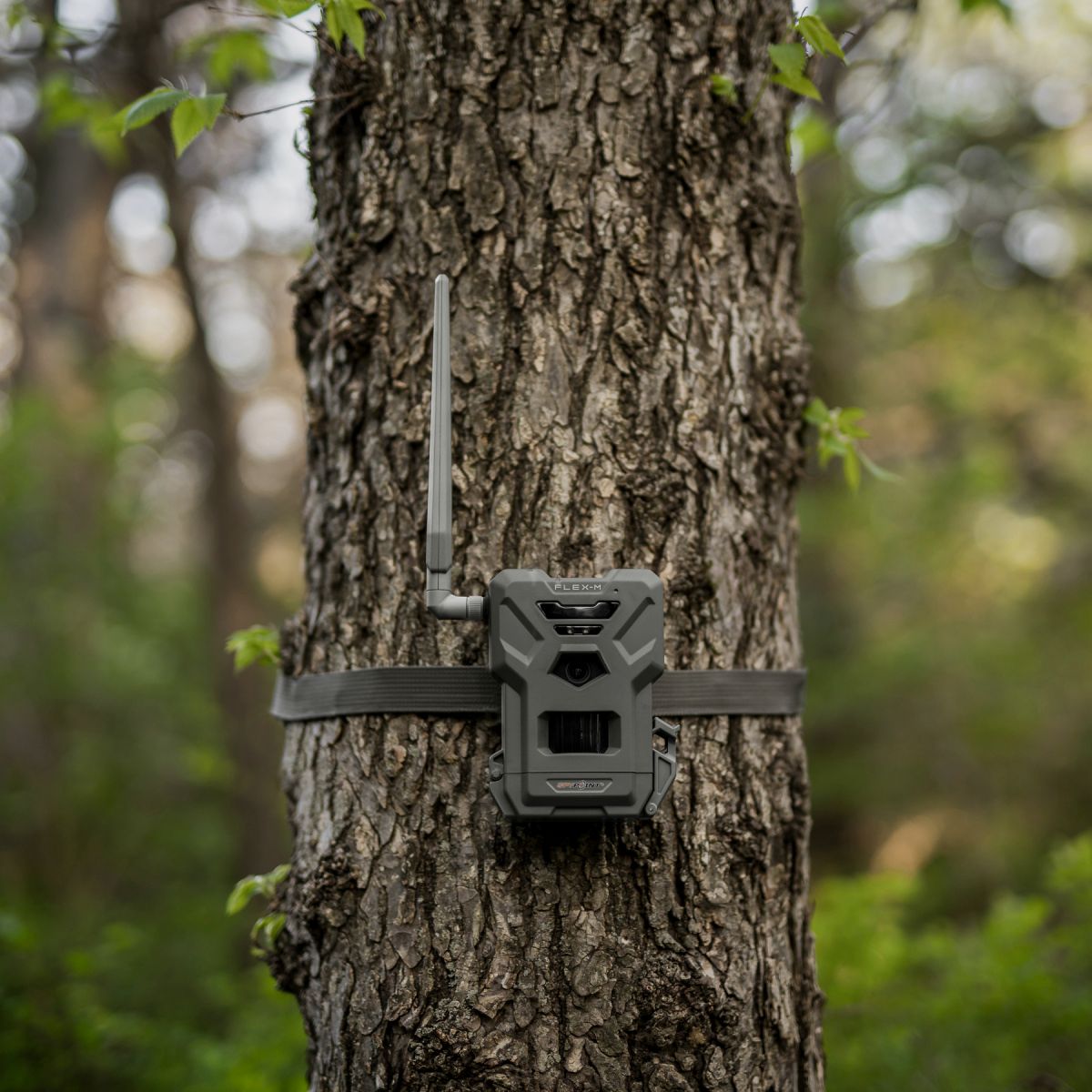 SPYPOINT FLEX-M