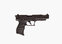 Walther P22Q Target