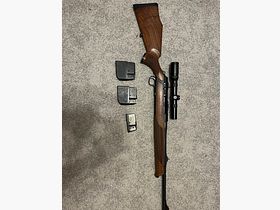 Sauer 303 