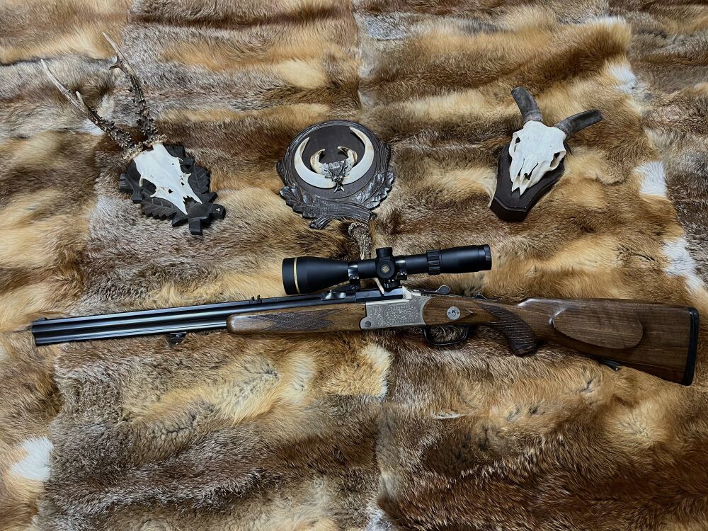 Blaser ES 73
