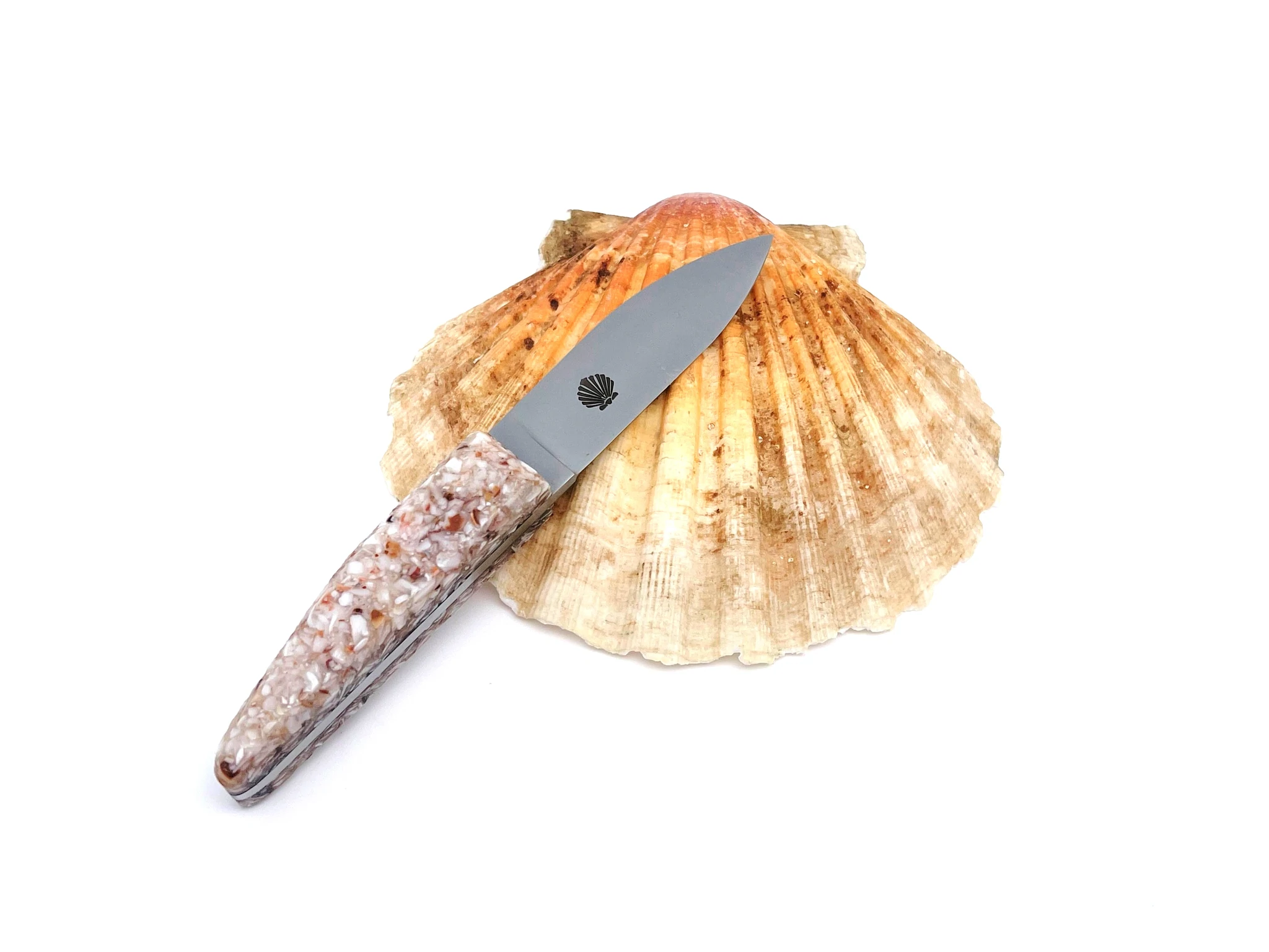 Charles Canon Petit feststehendes Messer mit Griff aus recycelten Jakobsmuschelschalen