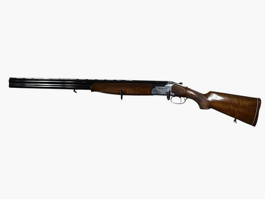Condor Ibargun