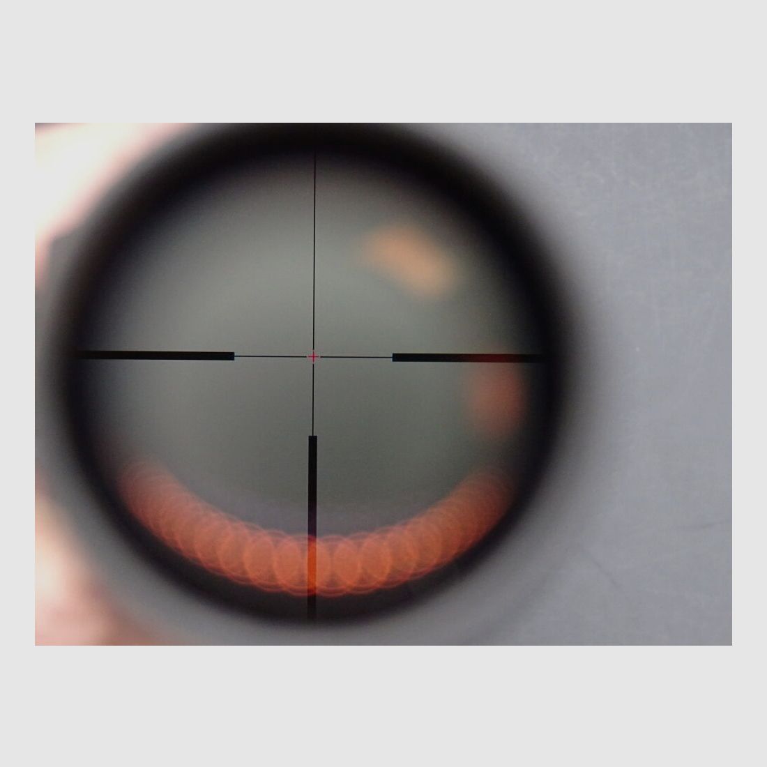Zeiss Victory Diarange M 3-12x56 T* Leuchtpunkt Entfernungsmesser Victory Diarange