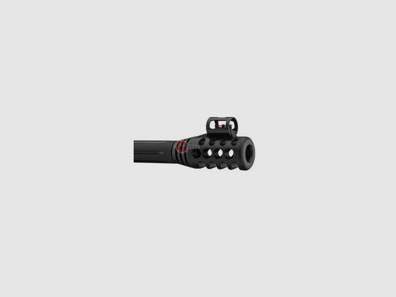 Gamo Black Bear IGT 5.5 mm, image 3 of 3
