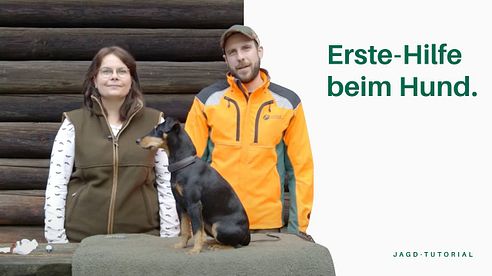 Erste-Hilfe beim Hund | Jagd-Tutorial der Bayerischen Staatsforsten