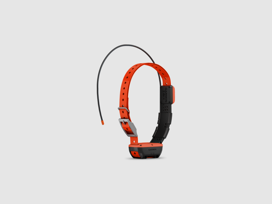 Collier GPS Garmin T20F, image 1 sur 14