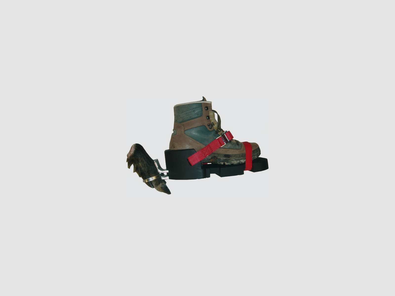 WAIDWERK Fährtenschuh Classic